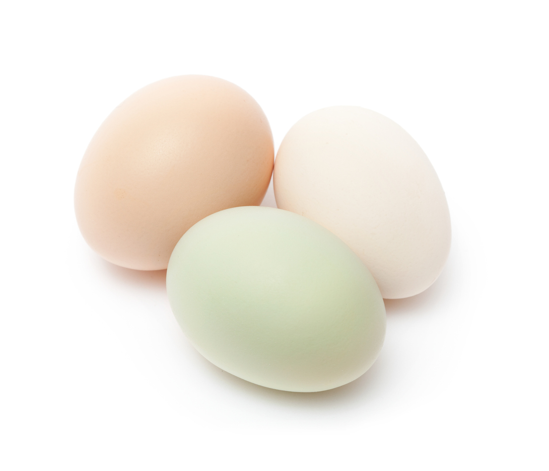 eggs, free-range, chicken, krueger farms